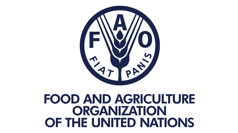 Сельскохозяйственная организация оон. ФАО ООН. Продовольственная и сельскохозяйственная организация. Продовольственная организация ООН. Иконка ФАО.